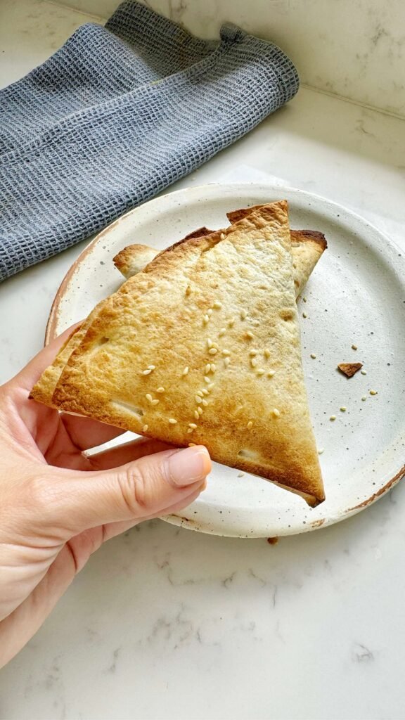 Tuna Melt Hot Pockets, a hand holding it in close up