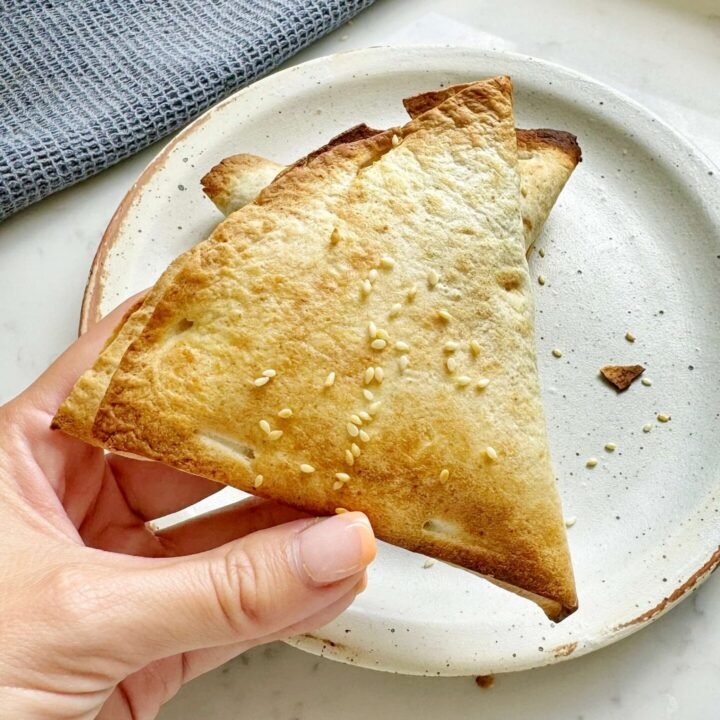 Tuna Melt Hot Pockets, a hand holding it in close up