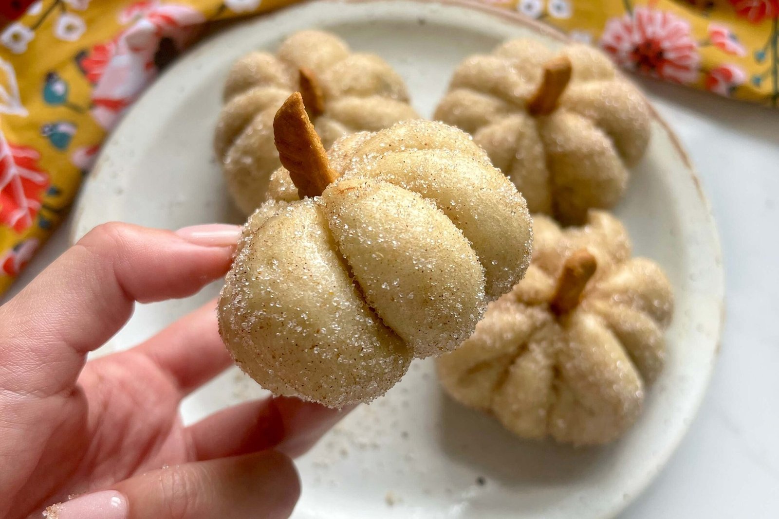 Pumpkin Spice Steamed Buns, a hand holding one