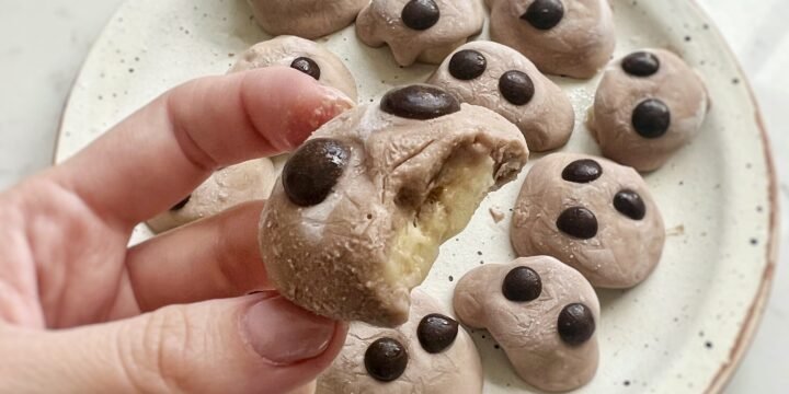 Chocolate Banana Protein Bites