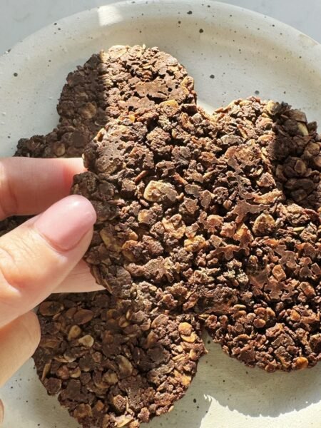 Dark Chocolate and Oat No Bake Cookies