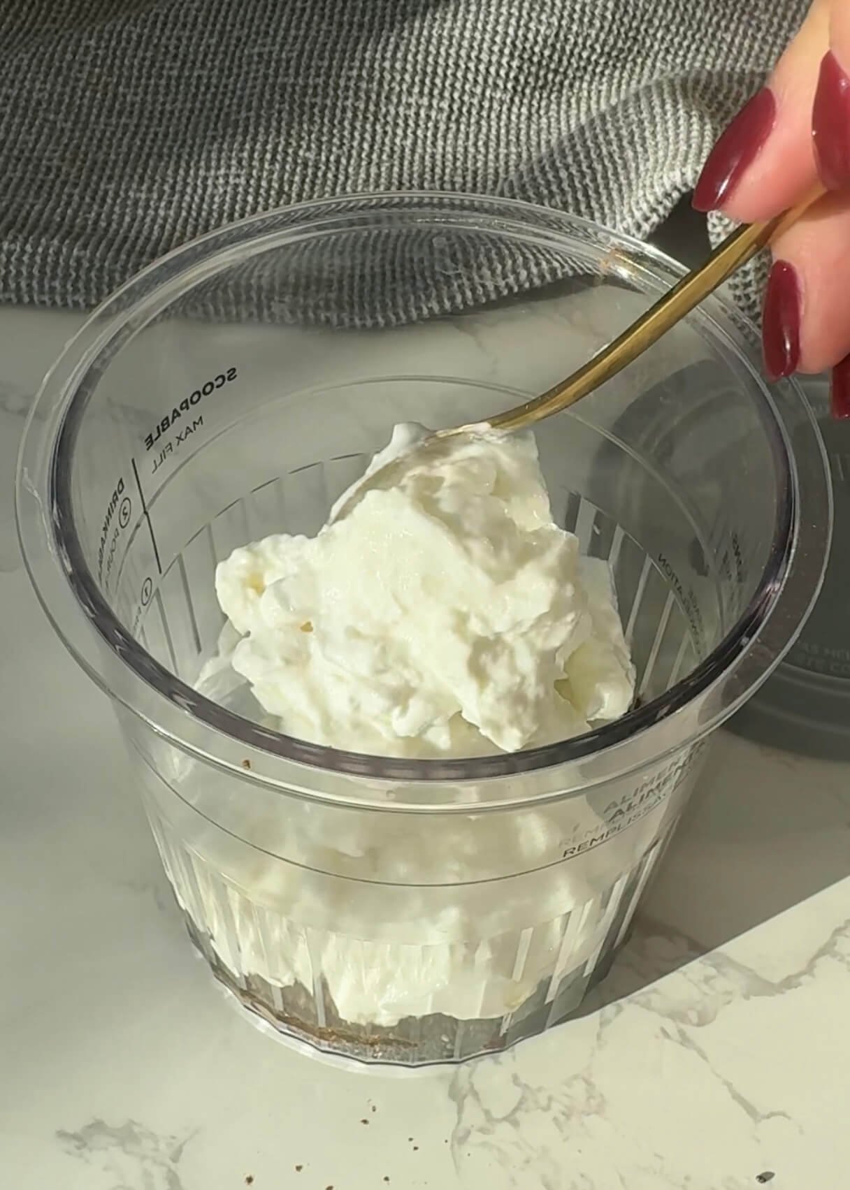 Cottage Cheese Ice Cream Recipe making process step 3