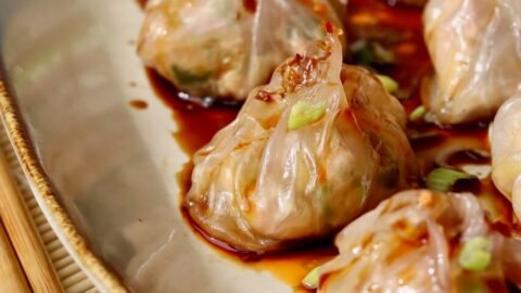 Spicy Hoisin Salmon Rice Paper Dumplings (Steamed & Healthy)
