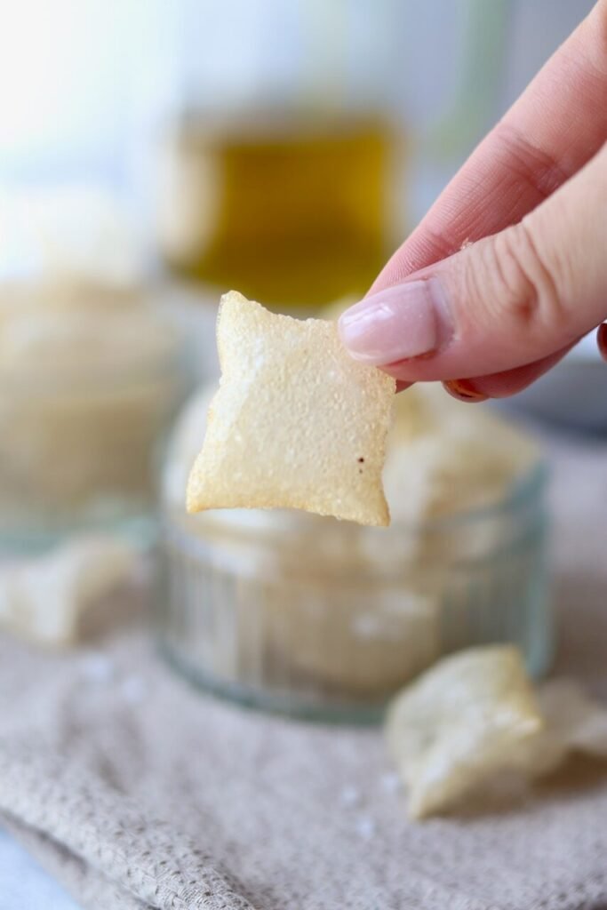 Air Fryer Salt and vinegar rice paper chips